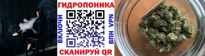Марихуана планчик  где найти   Короча 